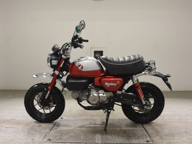 OTHER MONKEY 125-2