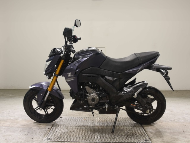 OTHER Z125PRO