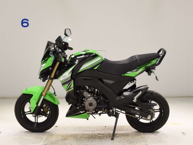 OTHER Z125PRO