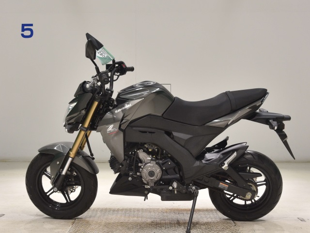 OTHER Z125PRO