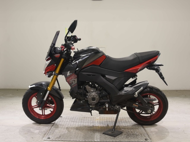 OTHER Z125PRO