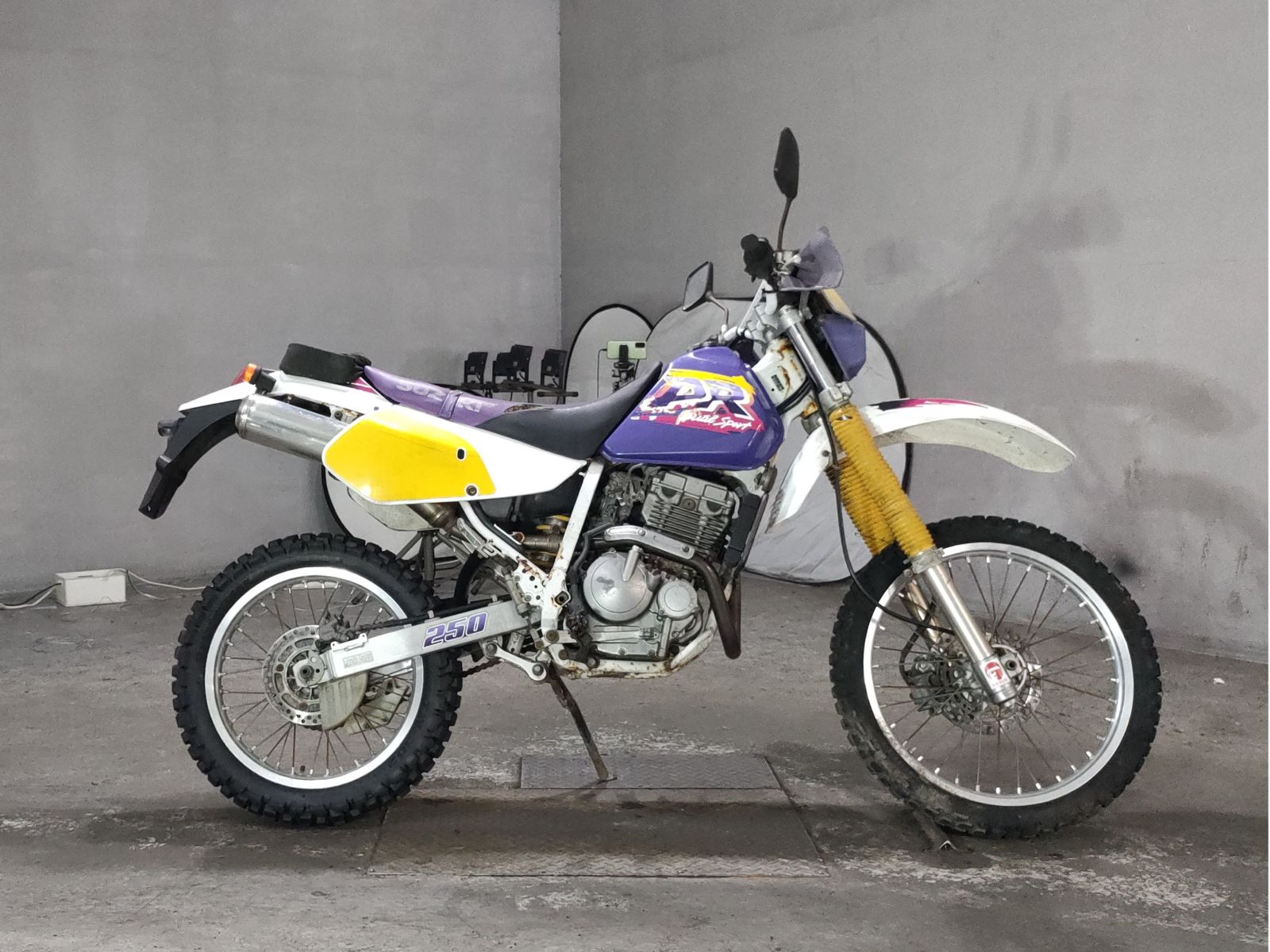 Suzuki DR250R