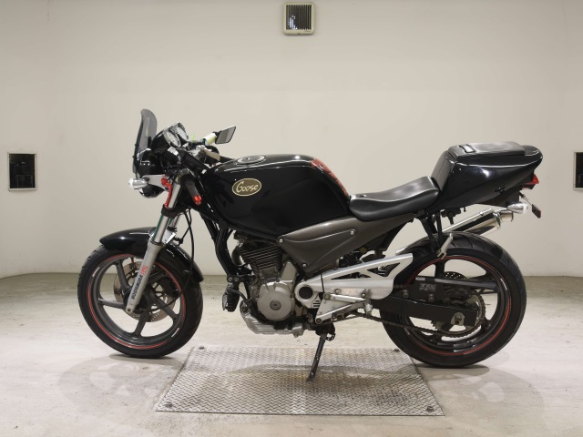 Suzuki GOOSE250