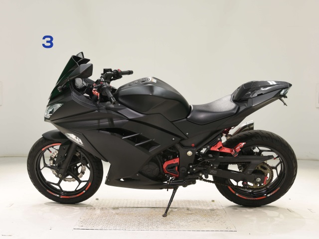 Kawasaki NINJA250