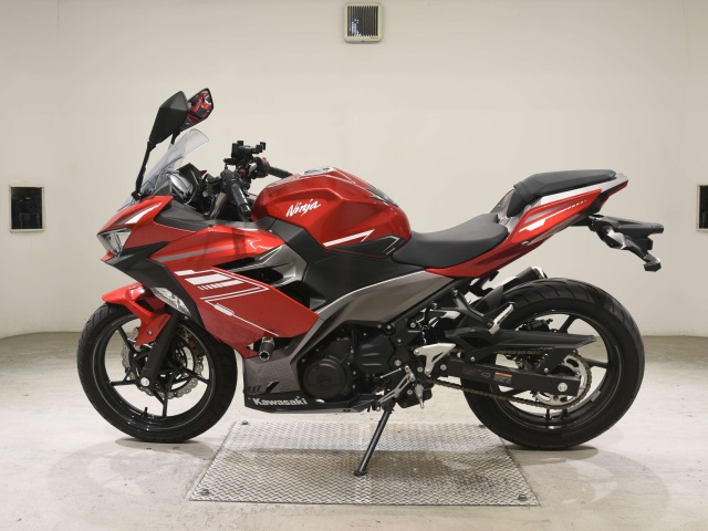 Kawasaki NINJA250-2