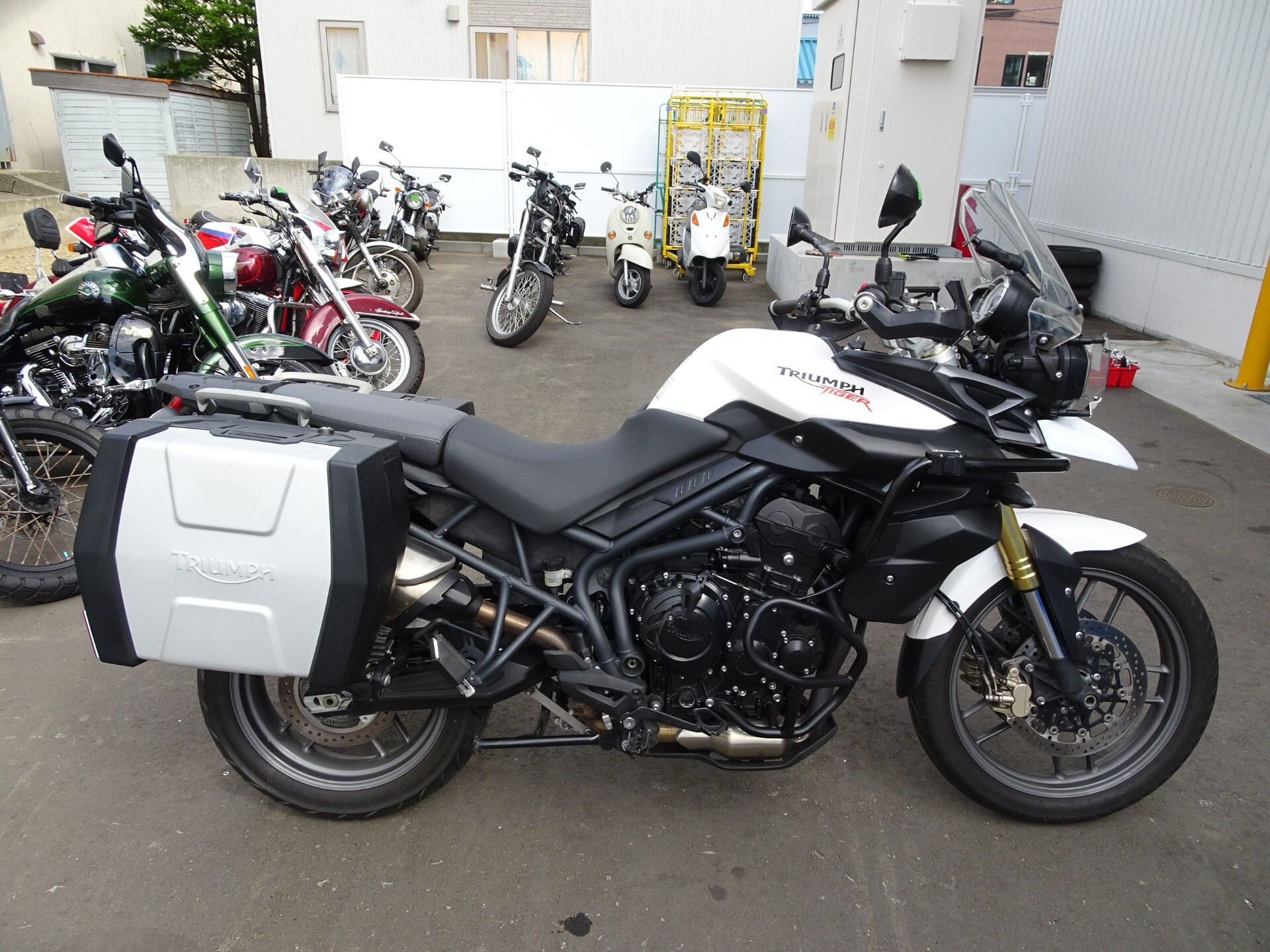 Triumph TIGER 800