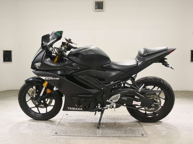 Yamaha YZF-R25