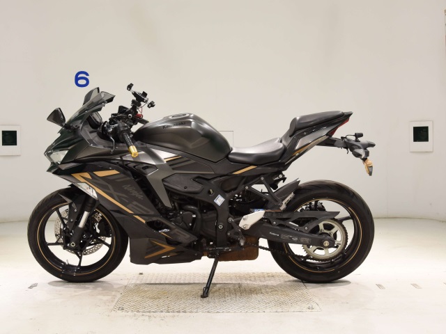 Kawasaki ZX-25R