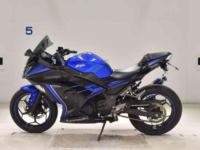 Kawasaki NINJA250