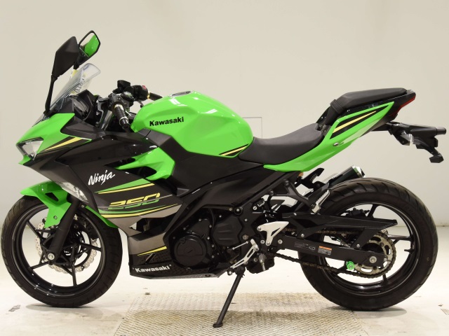 Kawasaki NINJA250-2