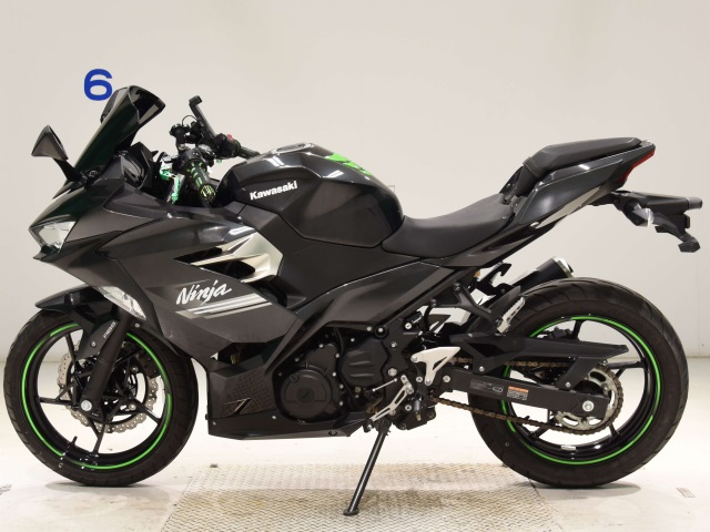 Kawasaki NINJA250-2
