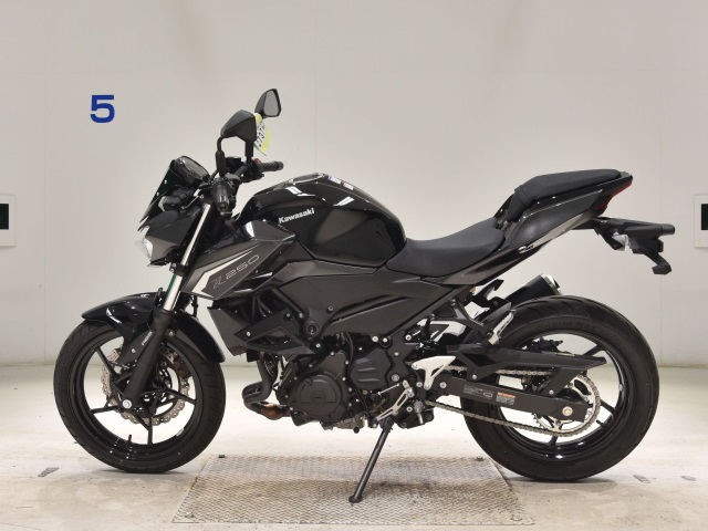 Kawasaki Z250-2