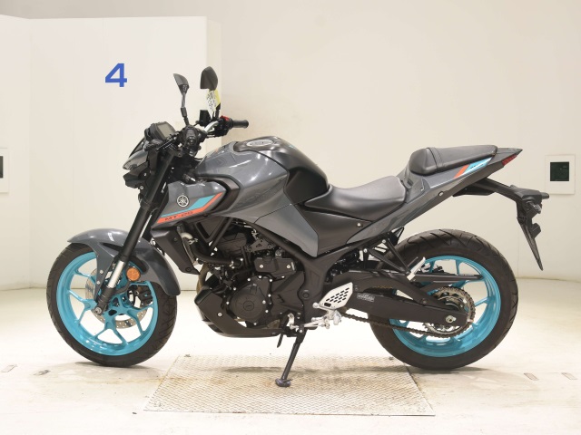 Yamaha MT-25A