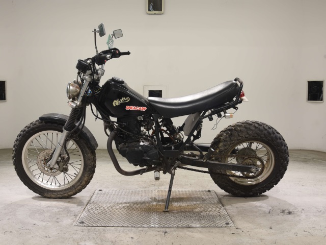 Yamaha TW200-2
