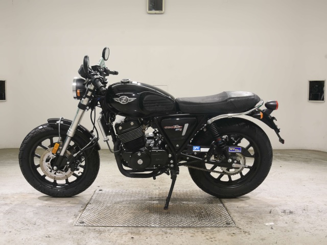 Kawasaki GPX LEGEND 250 TWIN