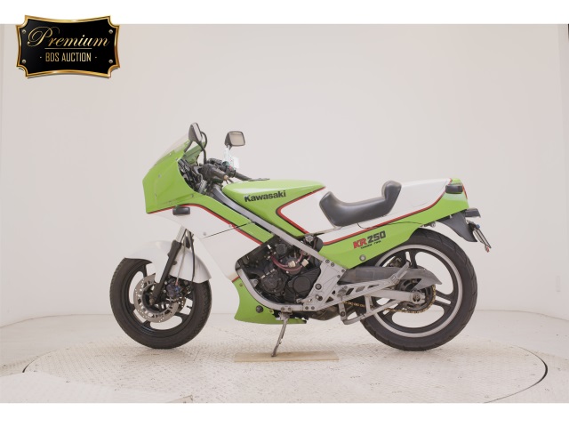 Kawasaki KR250