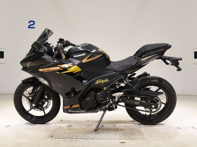 Kawasaki NINJA250-2