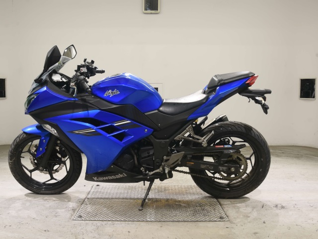 Kawasaki NINJA250