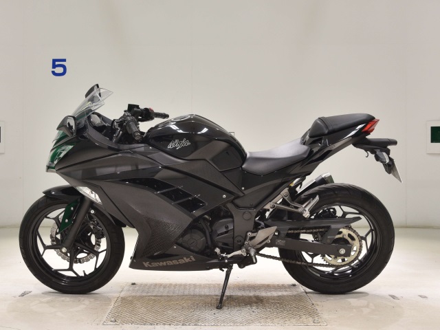 Kawasaki NINJA250