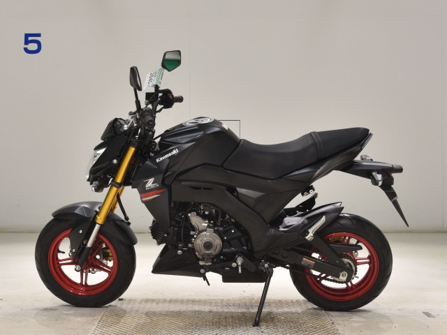 OTHER Z125PRO