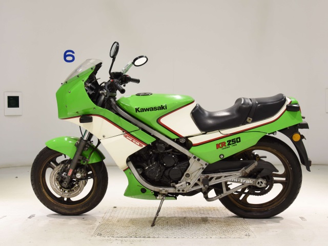 Kawasaki KR250