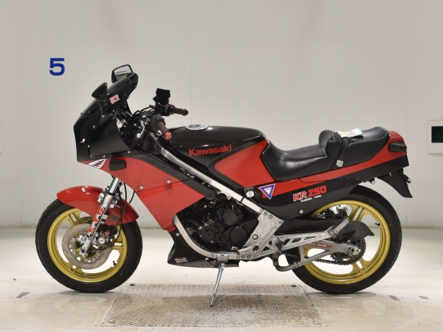 Kawasaki KR250