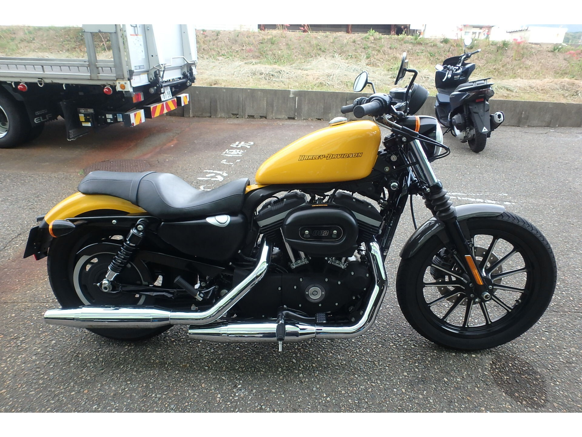 Harley-Davidson Iron 883 XL883N