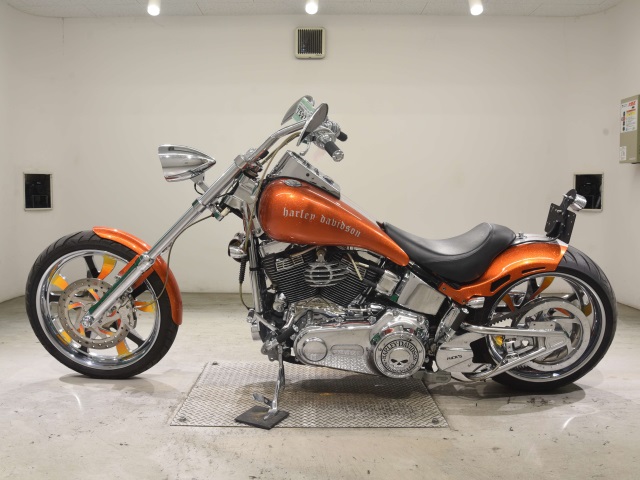 Harley-Davidson Softail Custom FXSTC1580