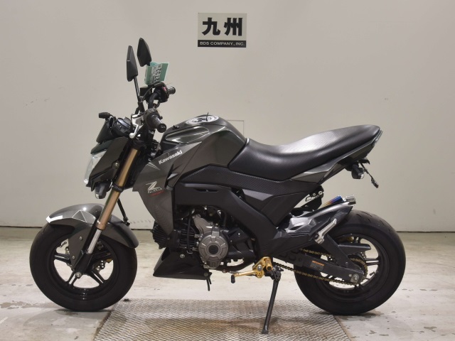 OTHER Z125PRO