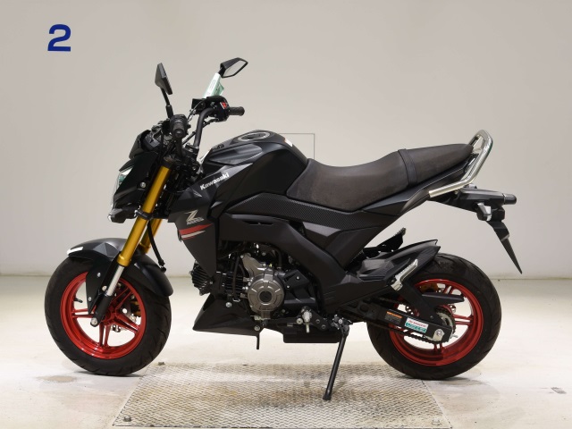 OTHER Z125PRO